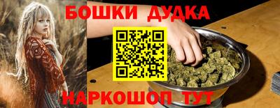 spice Новодвинск