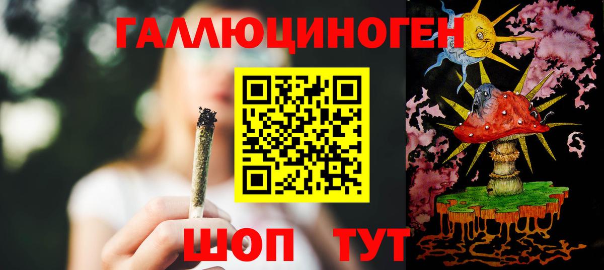 Псилоцибиновые грибы Psilocybine cubensis Стрежевой