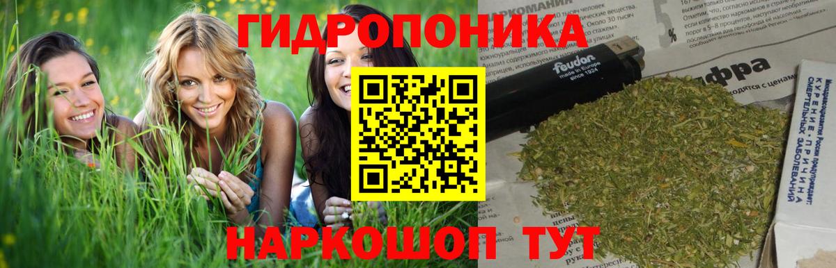 Шишки марихуана сатива  Вход с VPN  Стрежевой  Бошки марихуана OG Kush 